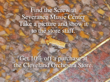 Load image into Gallery viewer, Severance Screw Pin