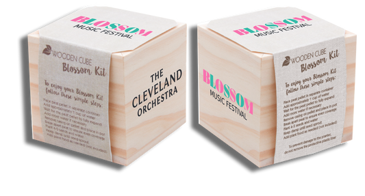Blossom Flower Blossom Box
