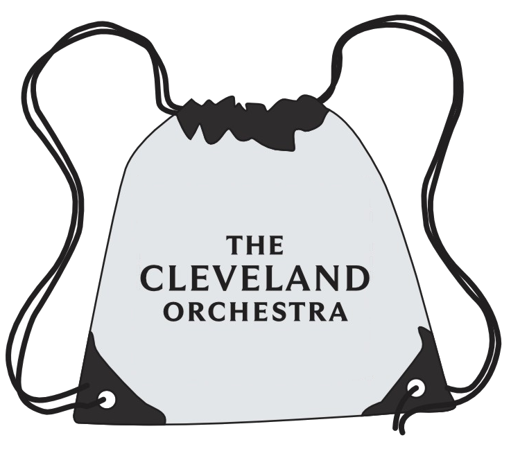 TCO Stadium Bag