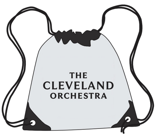 TCO Stadium Bag