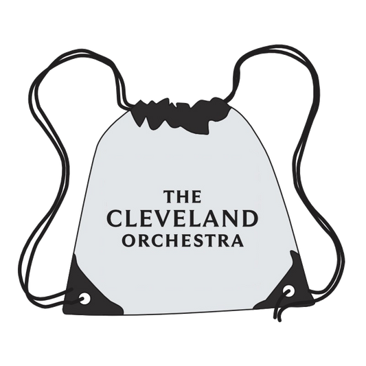 TCO Stadium Bag