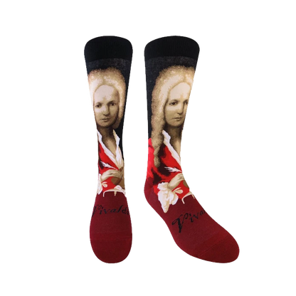 Vivaldi Socks